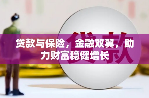 东乡贷款与保险，金融双翼，助力财富稳健增长