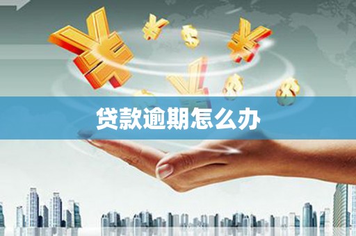 东乡贷款逾期怎么办