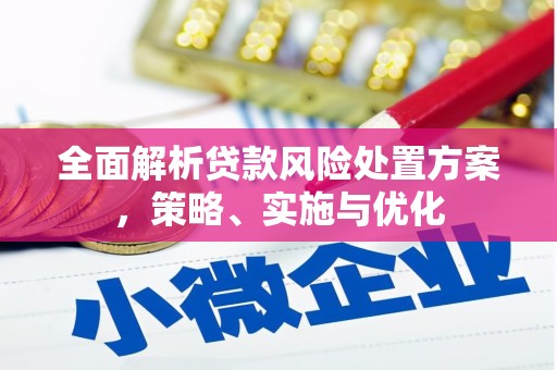 东乡全面解析贷款风险处置方案，策略、实施与优化
