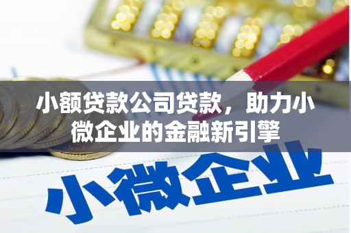 东乡小额贷款公司贷款，助力小微企业的金融新引擎