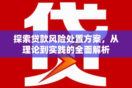 东乡探索贷款风险处置方案，从理论到实践的全面解析