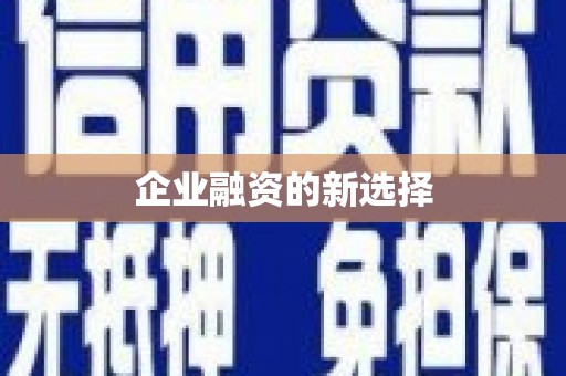 东乡企业融资的新选择
