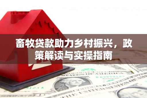 东乡畜牧贷款助力乡村振兴，政策解读与实操指南
