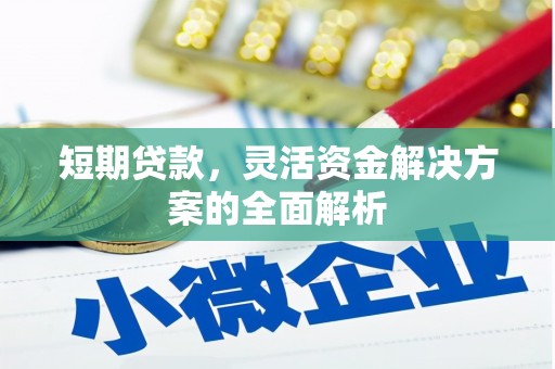 东乡短期贷款，灵活资金解决方案的全面解析