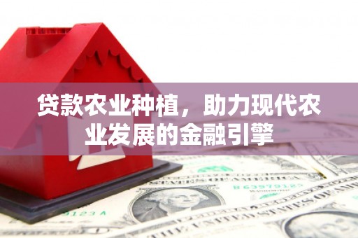 东乡贷款农业种植，助力现代农业发展的金融引擎