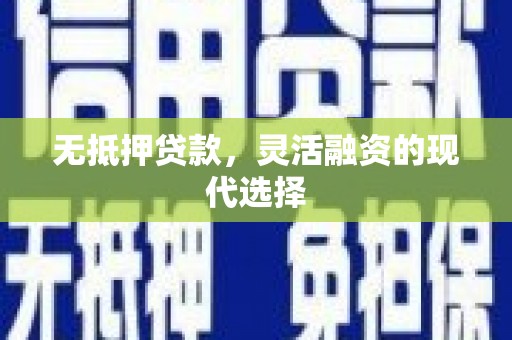 东乡无抵押贷款，灵活融资的现代选择