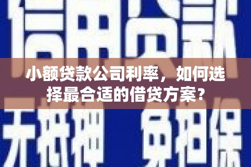 东乡小额贷款公司利率，如何选择最合适的借贷方案？