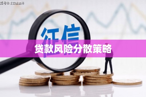 东乡贷款风险分散策略