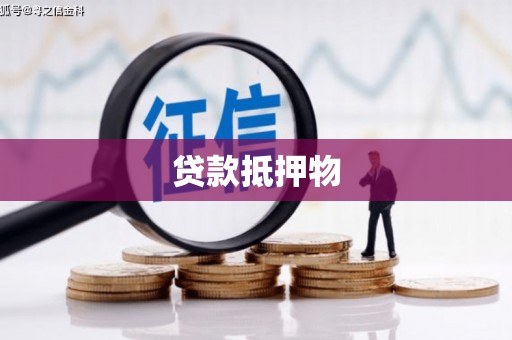 东乡贷款抵押物