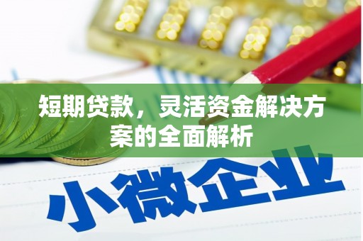 东乡短期贷款，灵活资金解决方案的全面解析