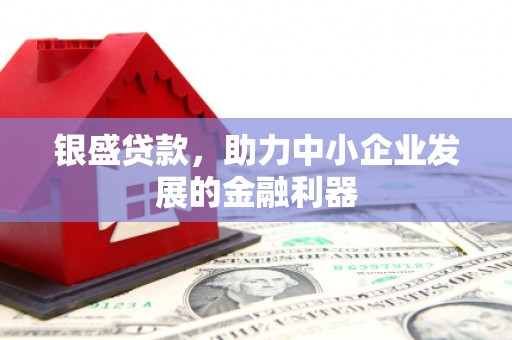 东乡银盛贷款，助力中小企业发展的金融利器
