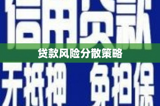 东乡贷款风险分散策略