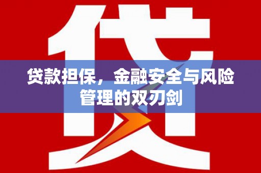 东乡贷款担保，金融安全与风险管理的双刃剑