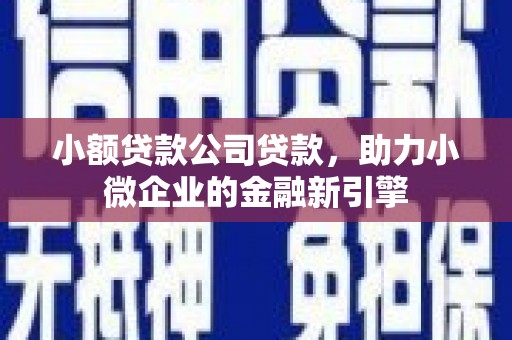 东乡小额贷款公司贷款，助力小微企业的金融新引擎