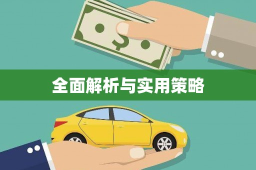 东乡全面解析与实用策略