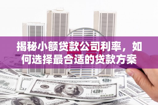 东乡揭秘小额贷款公司利率，如何选择最合适的贷款方案