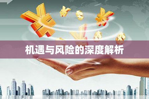 东乡机遇与风险的深度解析