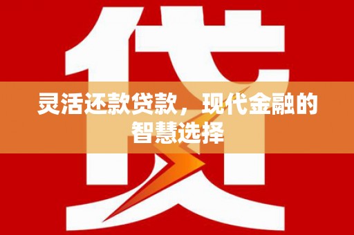 东乡灵活还款贷款，现代金融的智慧选择