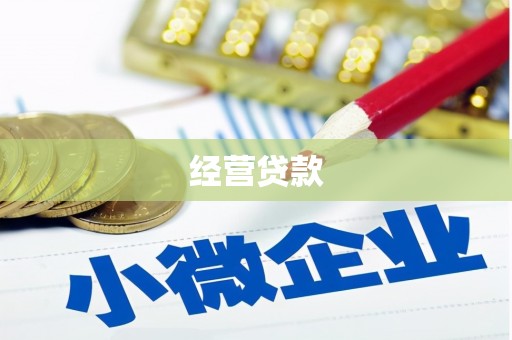 东乡经营贷款