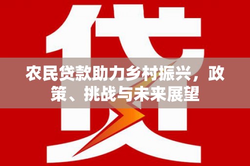 东乡农民贷款助力乡村振兴，政策、挑战与未来展望