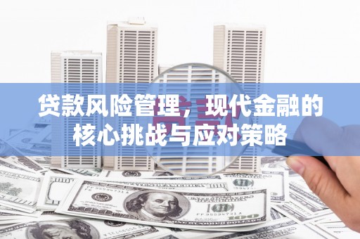 东乡贷款风险管理，现代金融的核心挑战与应对策略