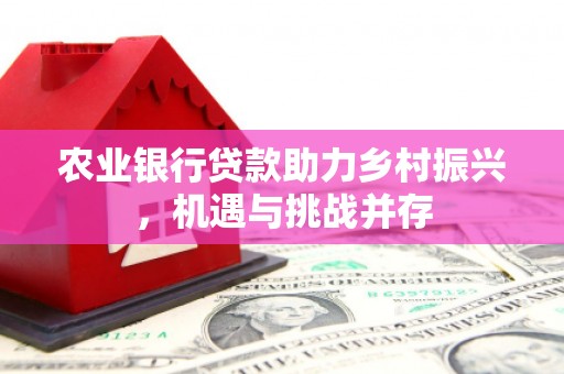 东乡农业银行贷款助力乡村振兴，机遇与挑战并存