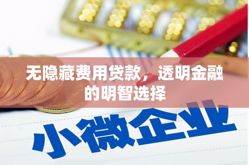东乡无隐藏费用贷款，透明金融的明智选择