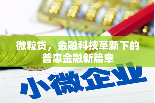 东乡微粒贷，金融科技革新下的普惠金融新篇章