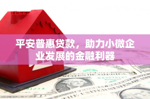 东乡平安普惠贷款，助力小微企业发展的金融利器