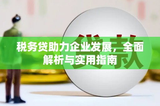 东乡税务贷助力企业发展，全面解析与实用指南