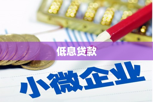 东乡低息贷款
