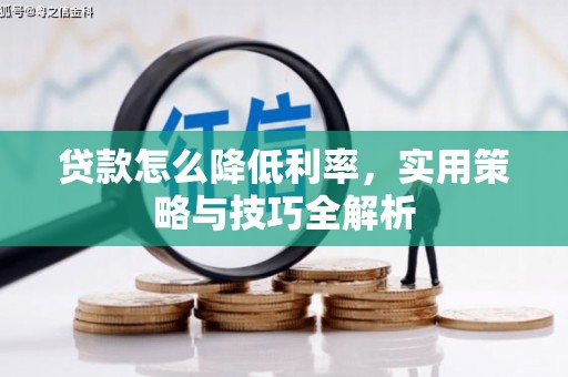 东乡贷款怎么降低利率，实用策略与技巧全解析