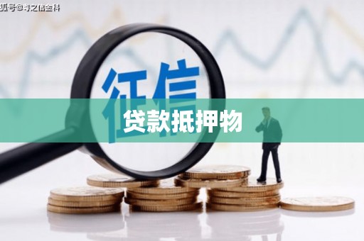 东乡贷款抵押物