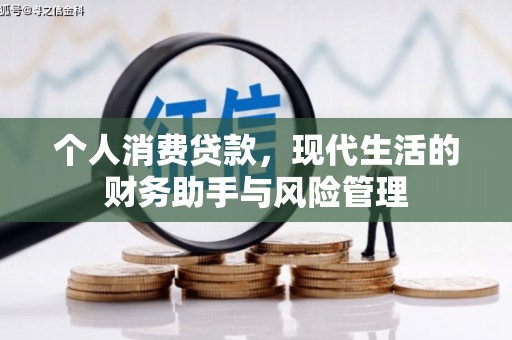 东乡个人消费贷款，现代生活的财务助手与风险管理