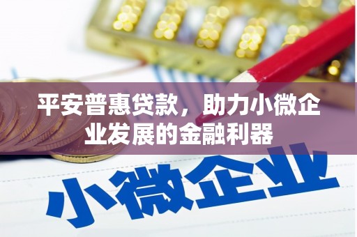 东乡平安普惠贷款，助力小微企业发展的金融利器
