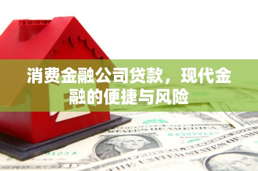 东乡消费金融公司贷款，现代金融的便捷与风险