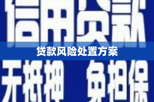 东乡贷款风险处置方案