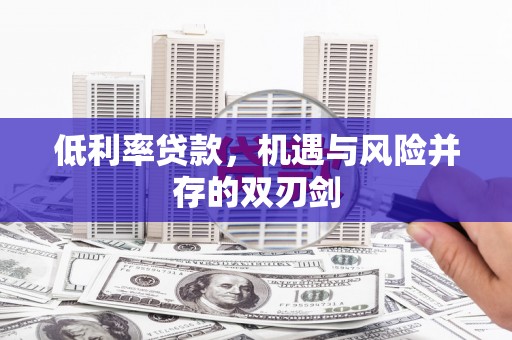 东乡低利率贷款，机遇与风险并存的双刃剑