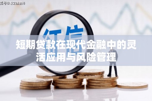 东乡短期贷款在现代金融中的灵活应用与风险管理