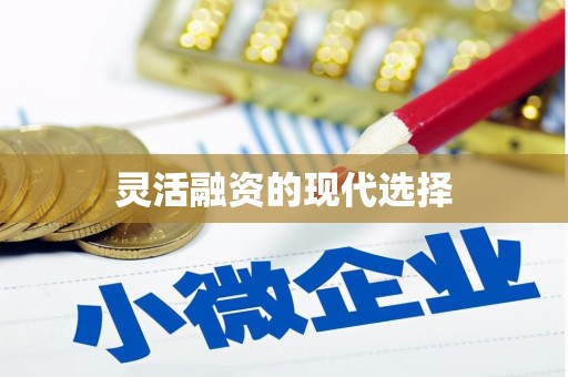 东乡灵活融资的现代选择
