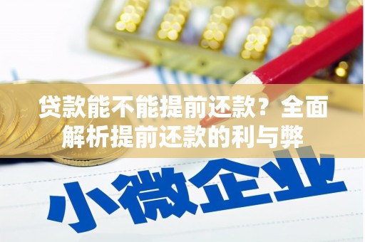 东乡贷款能不能提前还款？全面解析提前还款的利与弊