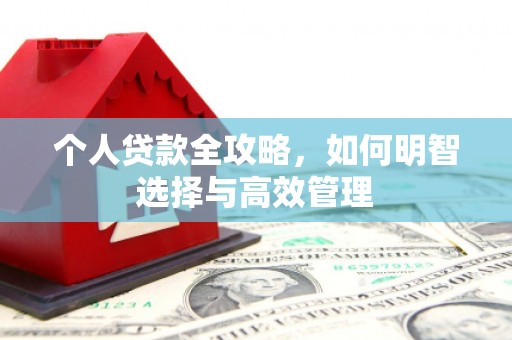 东乡个人贷款全攻略，如何明智选择与高效管理