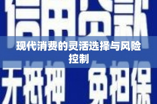 东乡现代消费的灵活选择与风险控制
