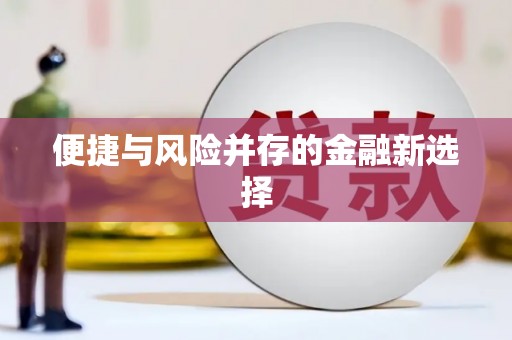 东乡便捷与风险并存的金融新选择
