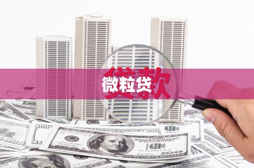 东乡微粒贷