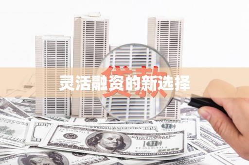 东乡灵活融资的新选择