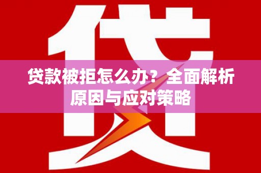 东乡贷款被拒怎么办？全面解析原因与应对策略