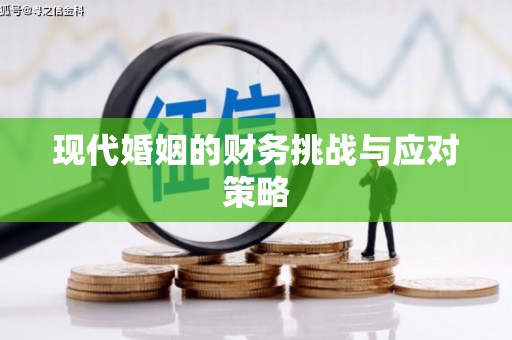 东乡现代婚姻的财务挑战与应对策略