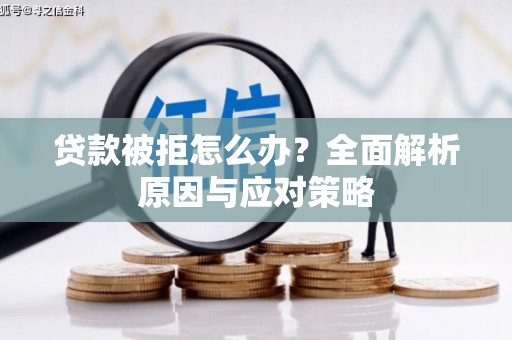 东乡贷款被拒怎么办？全面解析原因与应对策略