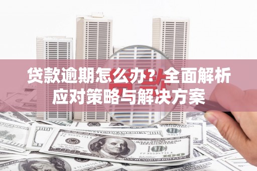 东乡贷款逾期怎么办？全面解析应对策略与解决方案